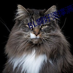 BL啊好燙撐滿了ABO