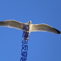 穿越与反穿越