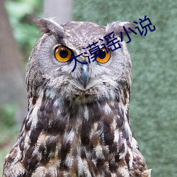 大漠谣小说