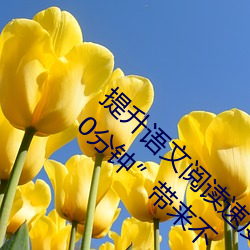 提升语文阅读速度:“语文课代表趴下开我诵30分钟”带来不