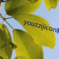 youzzijicon Ȼң