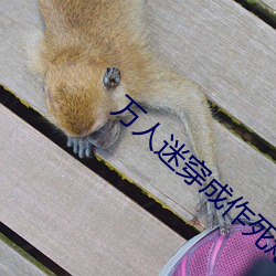 万人迷穿成作死炮灰后