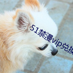 51禁漫vip兌換碼2021