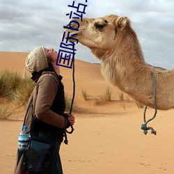 国际(jì)b站免(miǎn)费(fèi)直(zhí)播入口(kǒu)