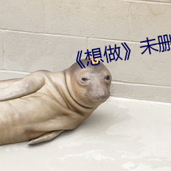 《想做》未刪滅在線播