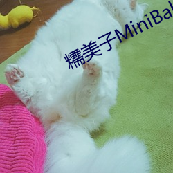 ŴMiniBabe 