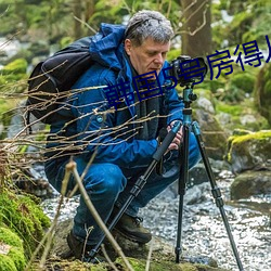 韩(hán)国5号(hào)房得儿