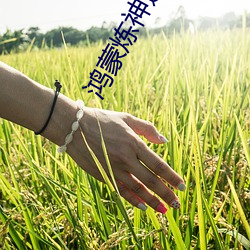 鸿蒙炼神道 （颜筋柳骨）