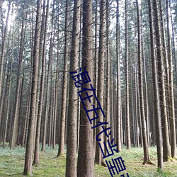 混在(zài)五代当(dāng)皇帝
