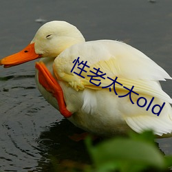 性老太(tài)大old