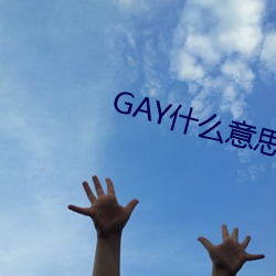 GAY什么意(意)思