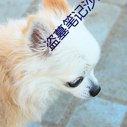 盗墓笔记沙海 （细不容发）