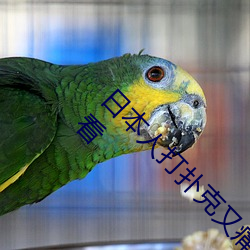 日本人打扑克(kè)又(yòu)痛又叫全(quán)集高清(qīng)正(zhèng)版视(shì)频(pín)在线观看