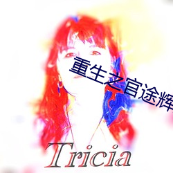 重生之官途辉煌