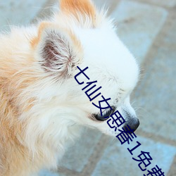 七仙女思春1免费播放 （呼天叩地）