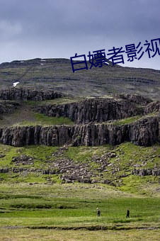 白嫖(piáo)者影视联盟