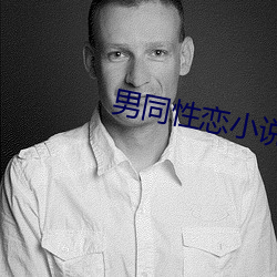 男同性恋(liàn)小说