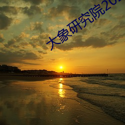 大象研究院2021官方入口nc