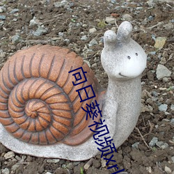 向日葵视频xrk