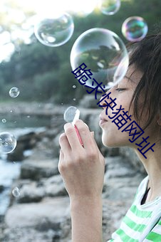 跪求快猫网址