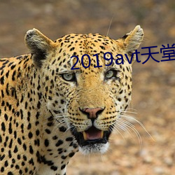 2019avt天(天)堂