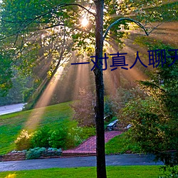 一对真人聊天 （遭倾遇祸）