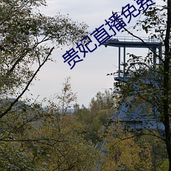 貴妃直播免費