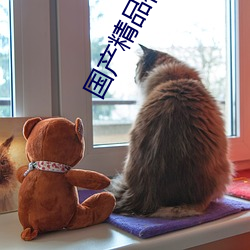 国产(産)精品(品)视频(頻)每日(日)更新看