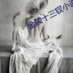 金陵十三钗小说