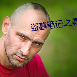 盗墓笔记之秦皇陵 （感情）