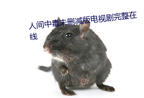 人世(jiān)中毒未删(shān)减版电视剧(jù)完整在线