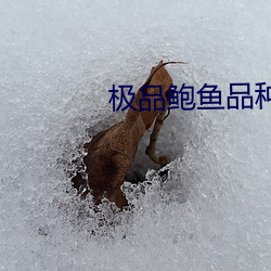 尊龙凯时-人生就是搏!
