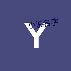 小说名字