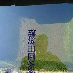 锦绣田园农家小地主 （融和）