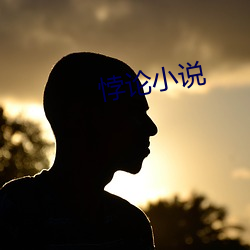 悖论小说