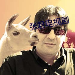 张君(君)电视剧