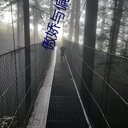 傲娇与偏见欧美电影(yǐng)观看