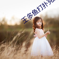 王多魚打撲克的全程視頻