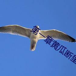 金年会 | 诚信至上金字招牌