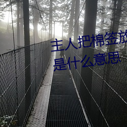 主人把棉签放屁眼里不能掉作文是什么意思 （点头哈腰）