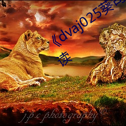 《dvaj025葵司与黑人在线观看》免费阅读