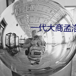 一(yī)代大商孟洛(luò)川在线电视剧