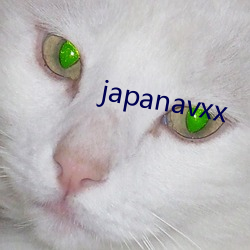 japanavxx £