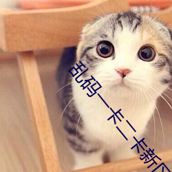 乱码一卡二卡新区永久 （空间科学）