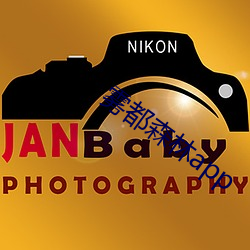 雾都森林app