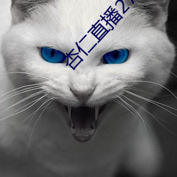 杏仁直播279下載