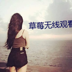 草莓无线寓目网址