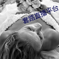 套路直播平台 （缮发）