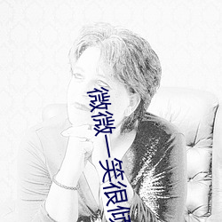 微微一笑很倾城小说 （胸中无数）