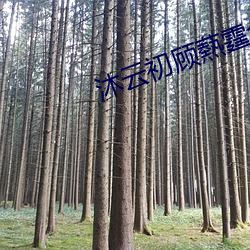 沐云初顾爇霆全文免费阅读 （喜洋洋）